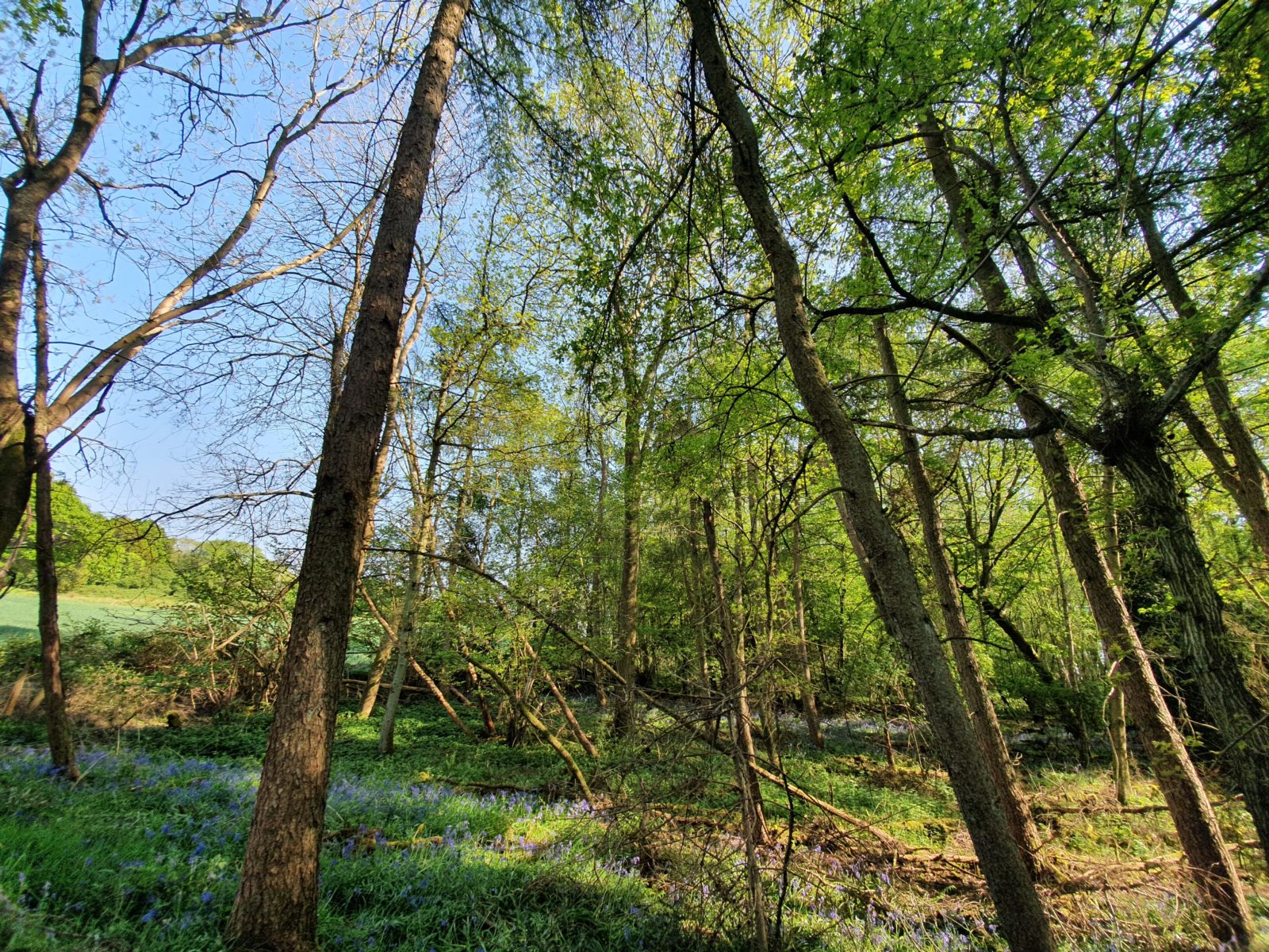 Horsham, West Sussex — our blocked-drain service area